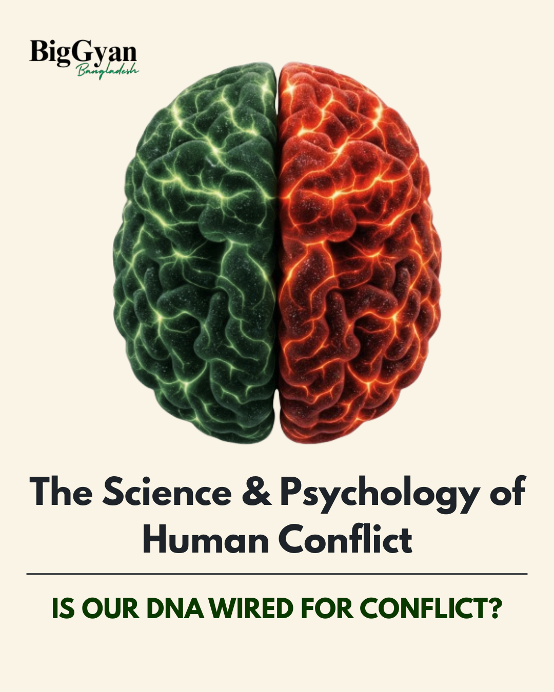 Why Do Humans Fight? The Science and Psychology Behind Human Conflict